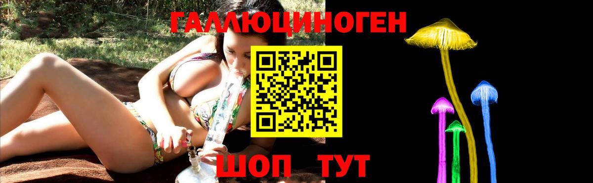 Галлюциногенные грибы GOLDEN TEACHER Петрозаводск